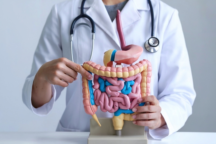 5 selected gastroenterology services in Remscheid and the surrounding area – clinical diagnosis of digestive problems