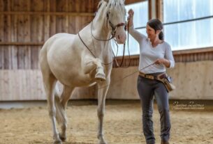 Die 5 besten Reitunterrichtsangebote in München – Reitfähigkeiten mit qualifizierter Anleitung entwickeln