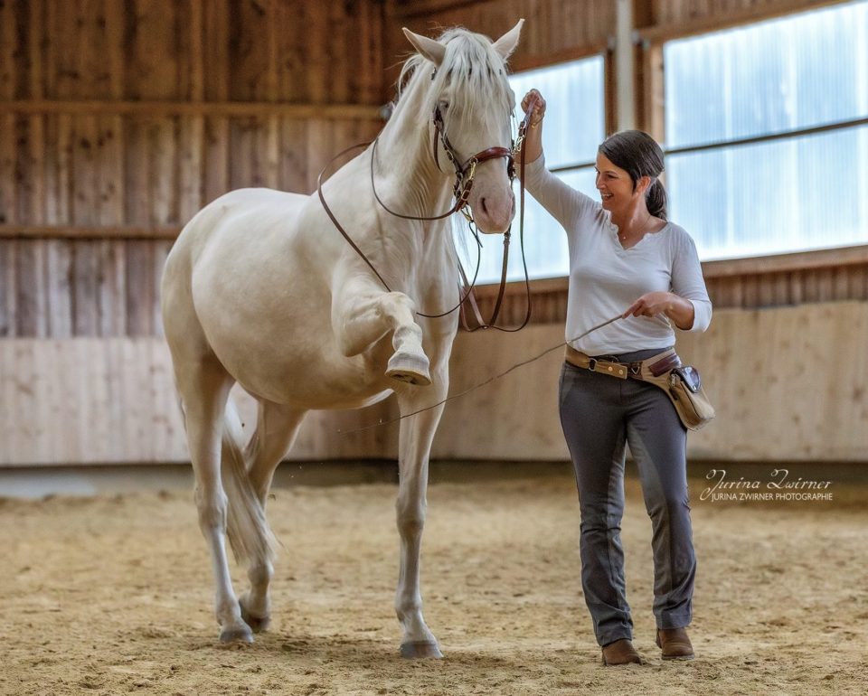 Die 5 besten Reitunterrichtsangebote in München – Reitfähigkeiten mit qualifizierter Anleitung entwickeln
